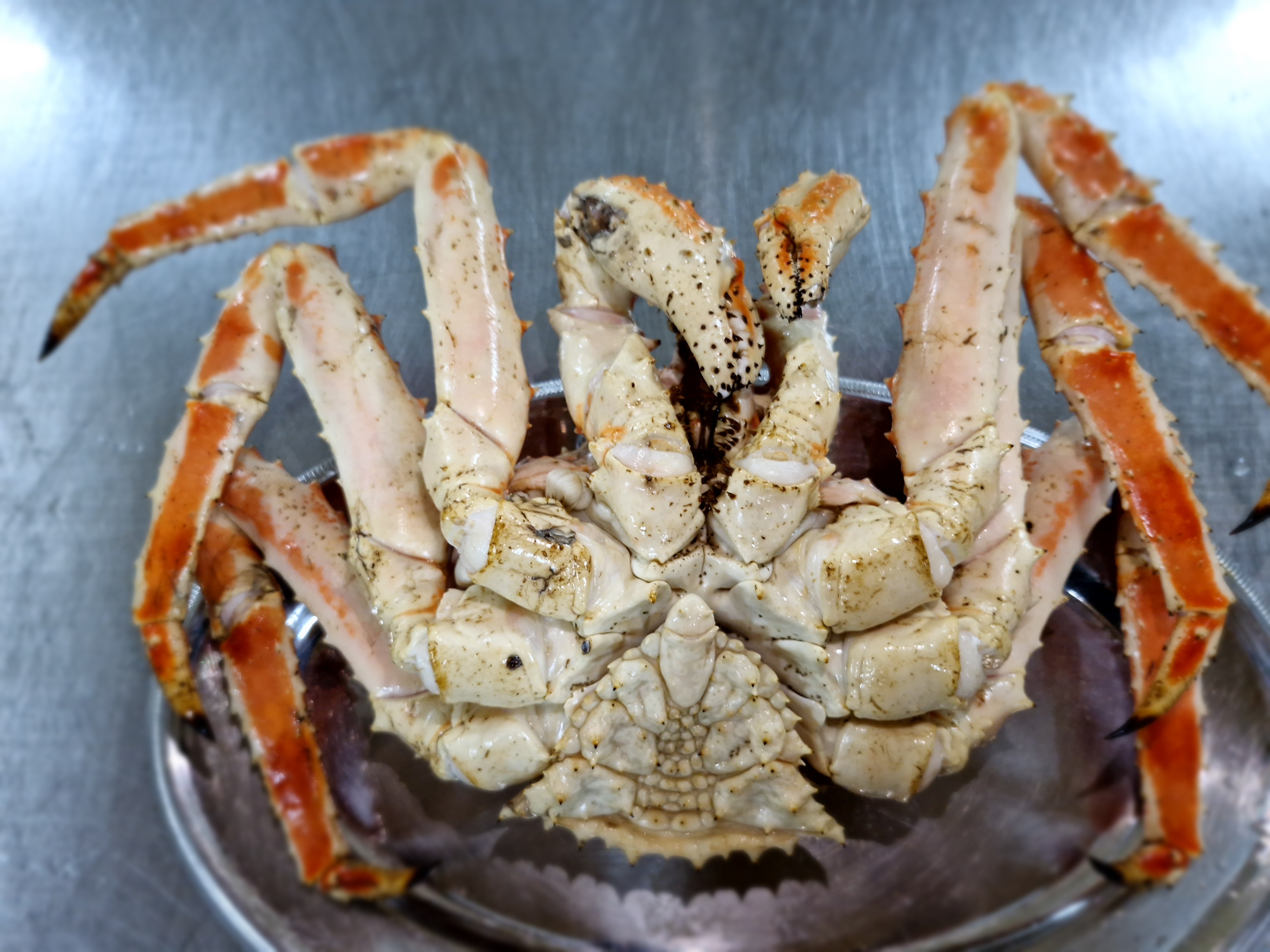 러시아 자숙 킹크랩(블루/레드/브라운)