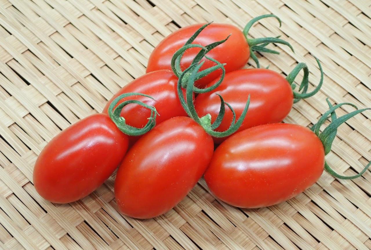 대추방울토마토