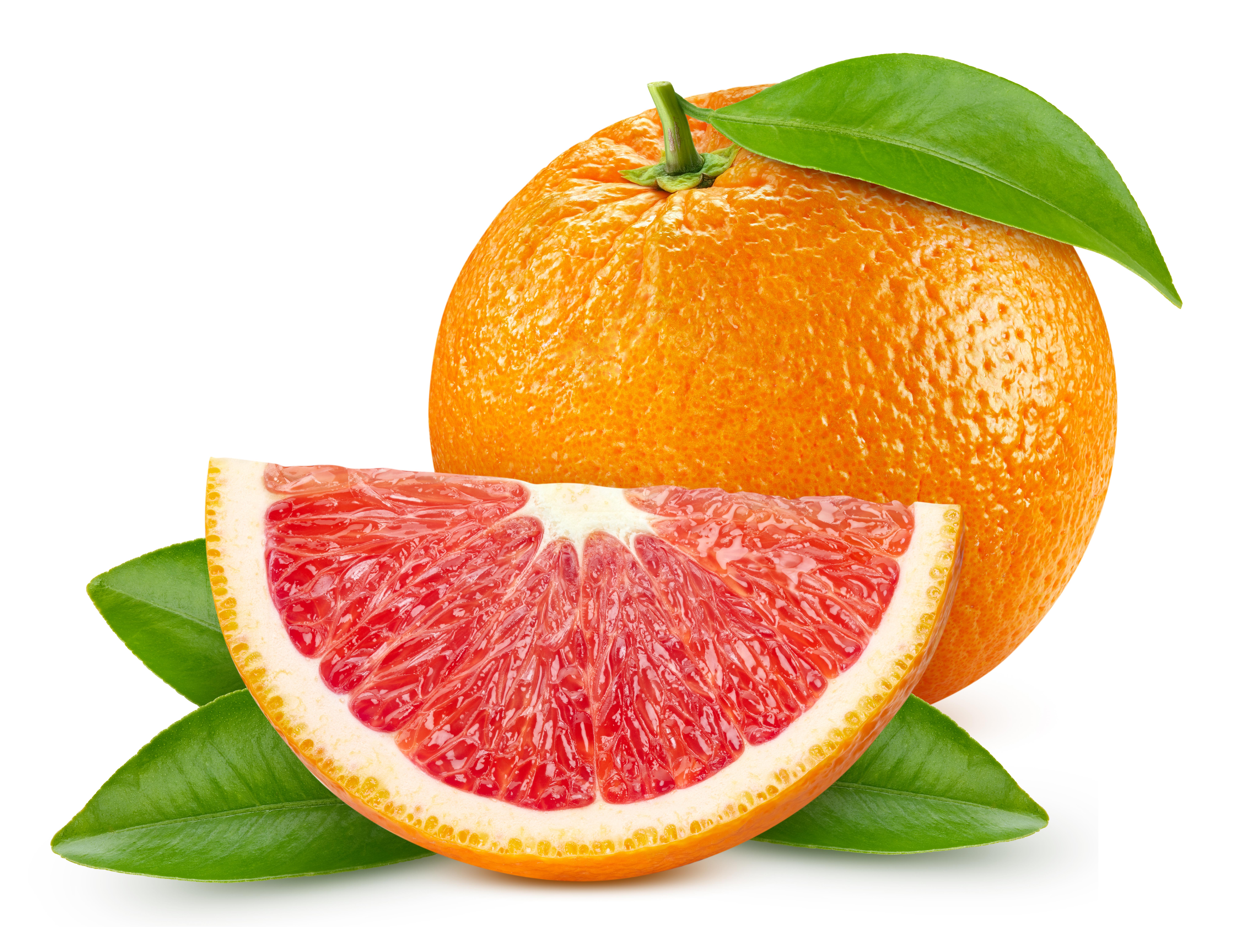 카라카라 오렌지